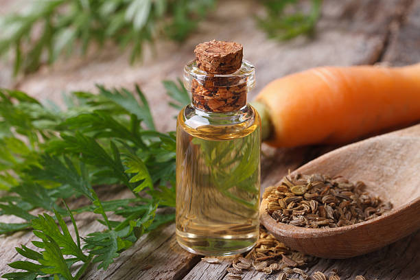 Carrot Seed Oil, Carrot Seed Oil Uses and Benefits, Carrot Seed Oil  Wholesale – Essential Oils Company