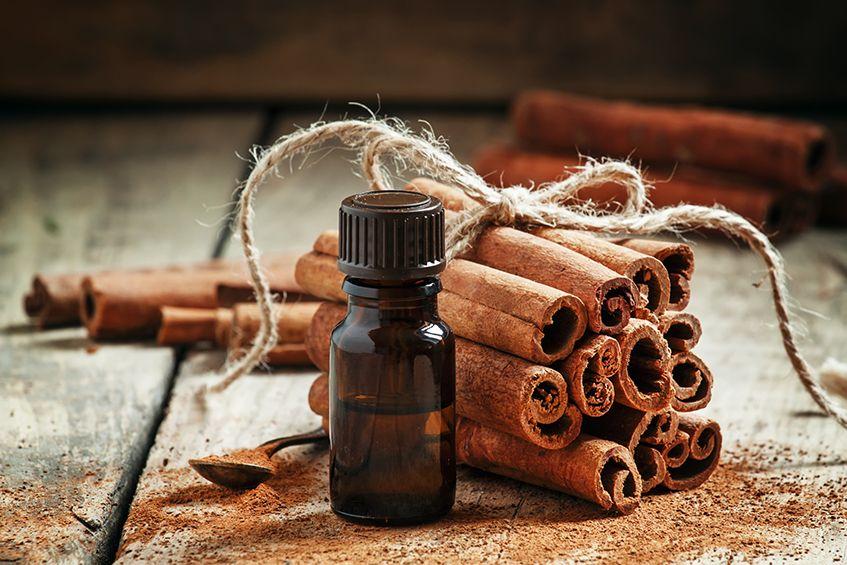 Buy 100% Naturals Cinnamon Essential Oil for Tight Skin & Hair
