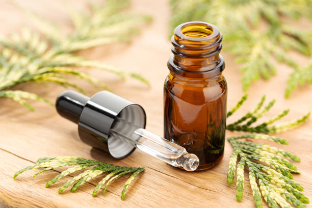 The Benefits of On Guard Essential Oil Blend - Curing Vision