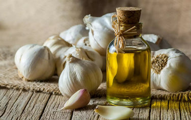 Small vial of garlic oil in front of many bulbs of garlic