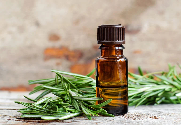 10 Benefits and Uses of Rosemary Oil