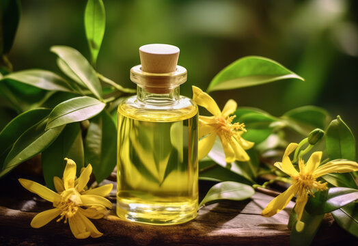 10 Benefits and Uses of Ylang Ylang Oil