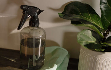 Spray bottle next to a plant and a green cloth 