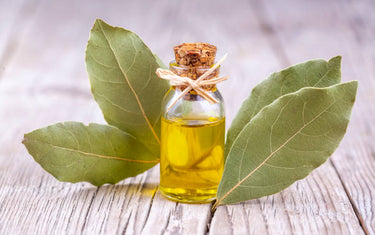 Bay Leaves spilling out a jar onto a wooden table.