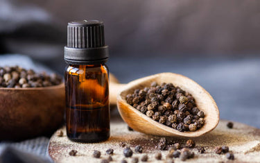 Whole black peppercorns in a bowl.