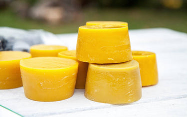 Best Essential Oils for Wax Melts