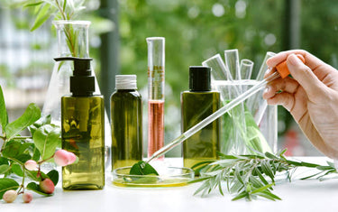 Fragrance Notes: Everything You Need to Know