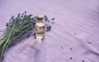 Lavender