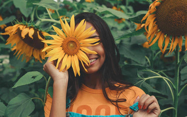 Yellow sunflower with sun shining.