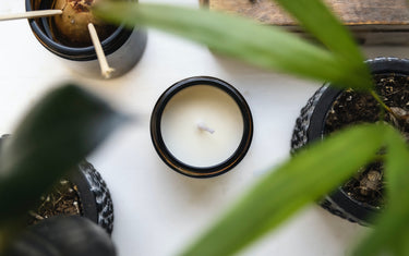 Birds eye view of a candle in the middle of some greenery. Fern like plant on the right and avocado pit on the left.
