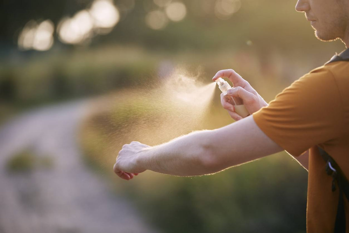 How to Use Citronella Oil as Mosquito Repellent Nikura