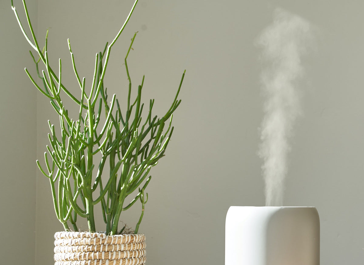 Essential Oil for Humidifiers: Top 8 Stress Relief Oils