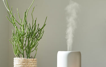 white diffuser next to a potted plant