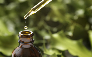 Blurred leafy green background with an amber glass bottle in focus at the forefront with a dropper, dropping oil into the bottle