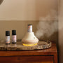 Cosy Christmas MISTI Diffuser Set
