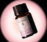 Black Opium Inspired Fragrance Oil | Noir Opium