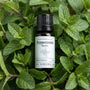 Peppermint Essential Oil (Piperita)