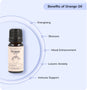 Orange Essential Oil (Sweet)