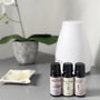 Relax & Unwind Aroma Collection