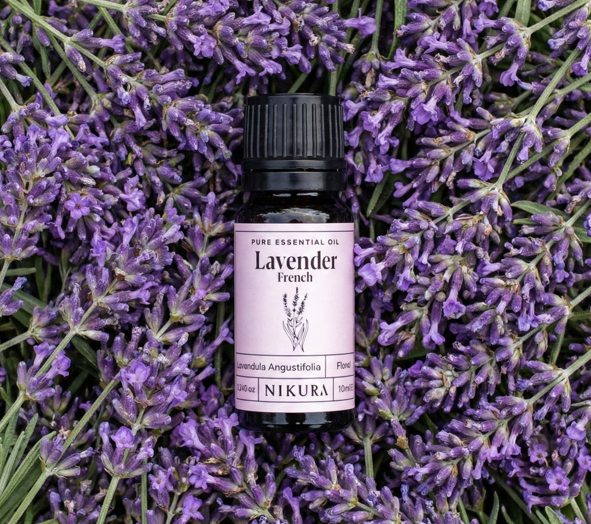 French Lavender Essential Oil | Shop Nikura