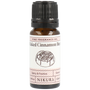 Baked Cinnamon Bun Fragrance Oil | Fine Fragrance