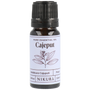Cajeput Essential Oil