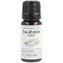 Eucalyptus (Chinese) Essential Oil