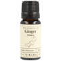 Ginger (Chinese) Essential Oil