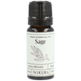 Sage Essential Oil