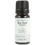 Tea Tree Essential Oil