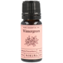 Wintergreen Essential Oil