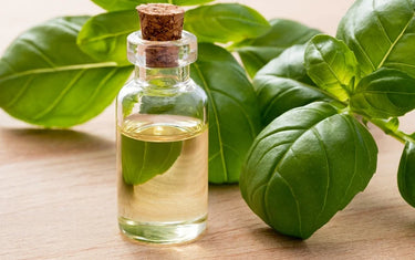 Basil leaf on a wooden table.