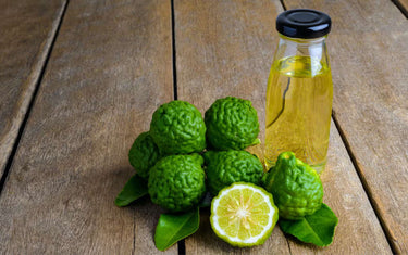 Bergamot fruit on a tree. 