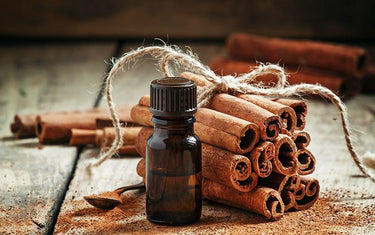 Cinnamon Oil Benefits, Uses, Side Effects, & Interactions