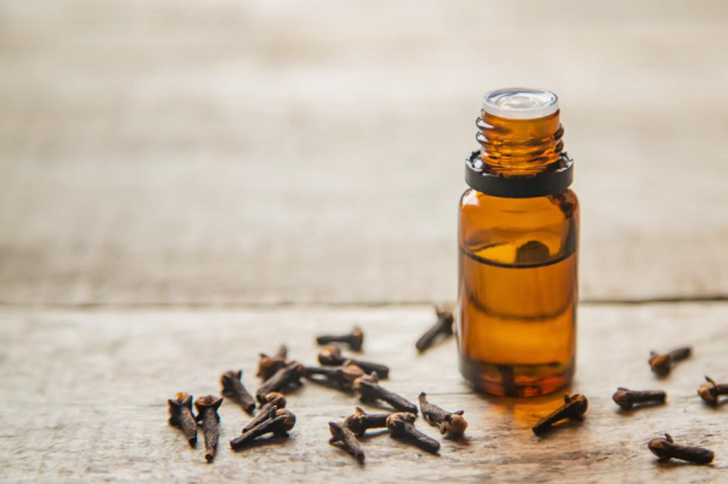 10 Benefits and Uses of Clove Oil | Nikura
