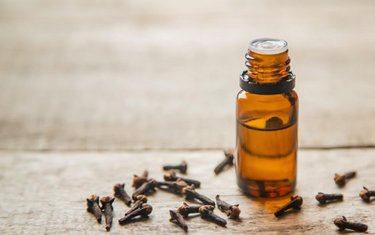 What is Amber Oil? Extraction, Composition, Benefits and Cosmetic  Applications of Amber Essential Oil