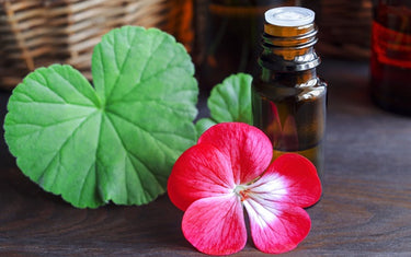 Amber glass bottle with a geranium flower and geranium leaf next to it