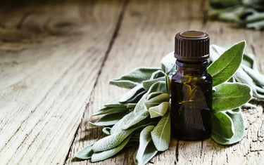 Sage leaves next to a 10ml amber glass bottle with sage oil