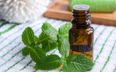 10ml amber glass bottle with spearmint oil next to spearmint leaves both on a flannel