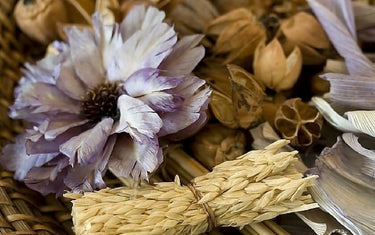 Potpourri ingredients.