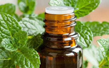 Amber Glass Bottle with Peppermint Leaves Around it