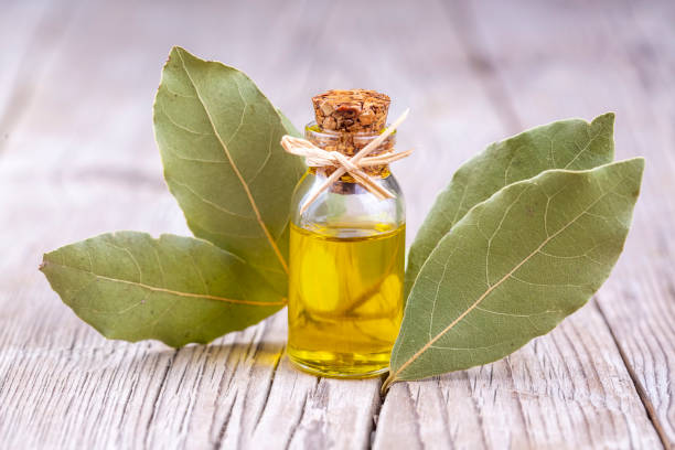 8 Benefits and Uses of Bay Leaf Oil | Nikura