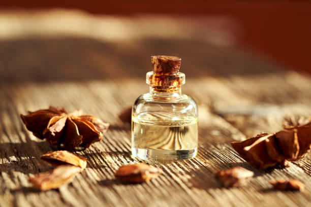 8 Benefits and Uses of Star Anise Oil | Nikura