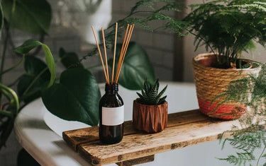 Bathroom. Reed diffuser with bamboo reeds in an amber glass bottle, next to a small succulent plant, next to an asparagus fern in a pot. All sat on top of a wooden bath shelf. Background has lots of greenery and plants.
