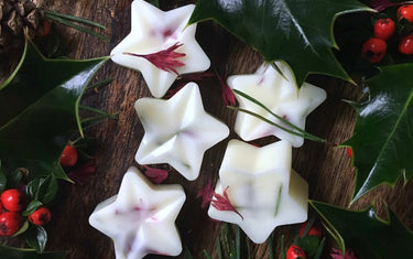 How to Make Christmas Wax Melts