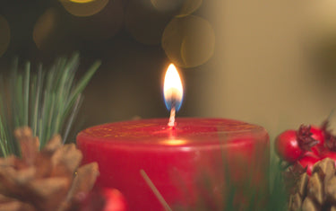 Lit red candle surrounded by pines and holly