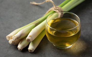 Citronella stems with a small glass of citronella oil next to them