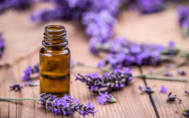 8 Benefits of Lavender Oil for Skin