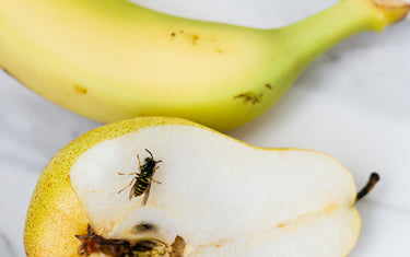 Collection of fruit with a wasp on a cut pear