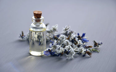 Small clear corked glass vial with lavender oil within. Placed next to some lavender flowers